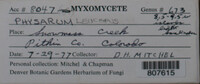 Image Associated With the Occurence
